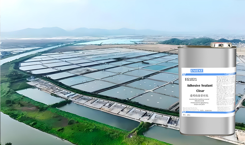 2024110417306927236034.jpg 77-1.jpg